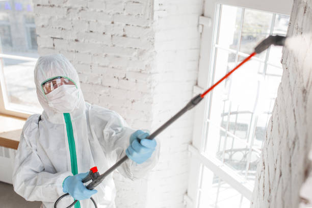 Best Mold Remediation for Rental Properties  in Aho Falls, ID